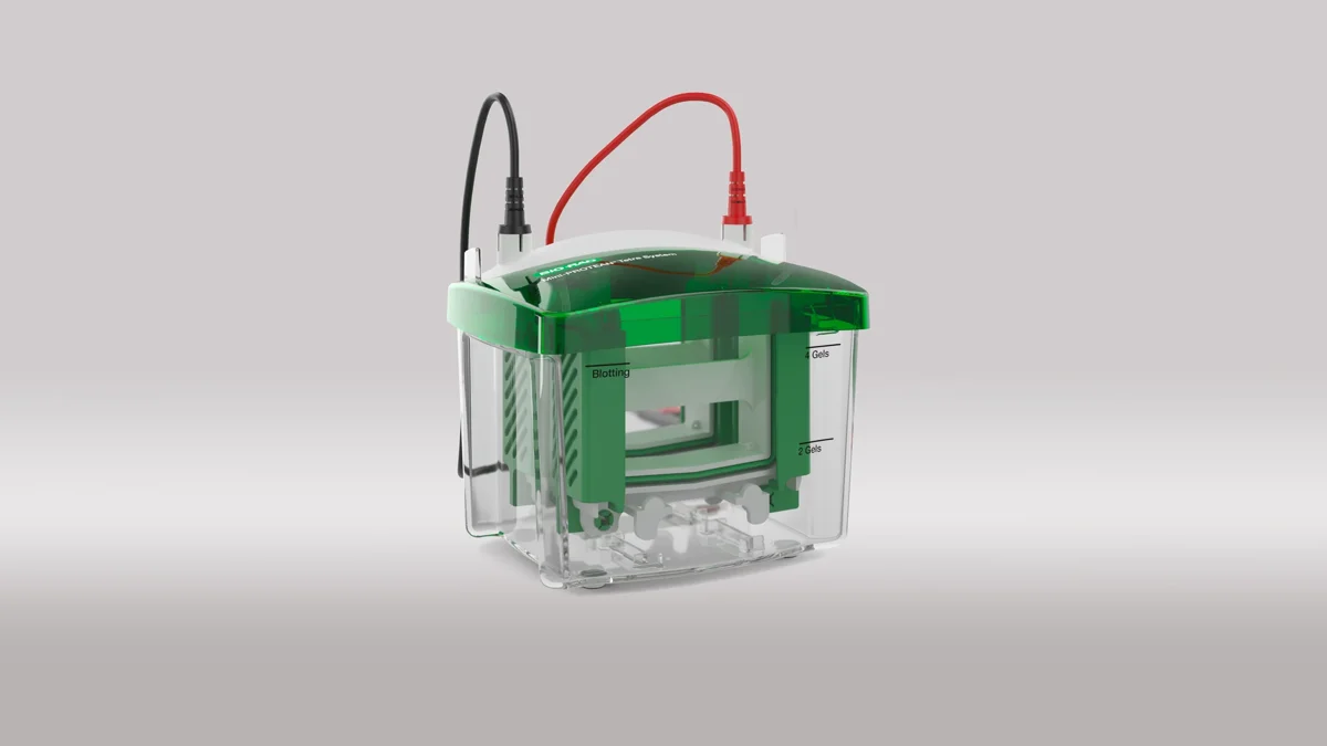 Bio-Rad, image 3